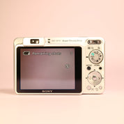 Sony Cyber-shot DSC-W170 10.1MP CCD Compact Digital Camera