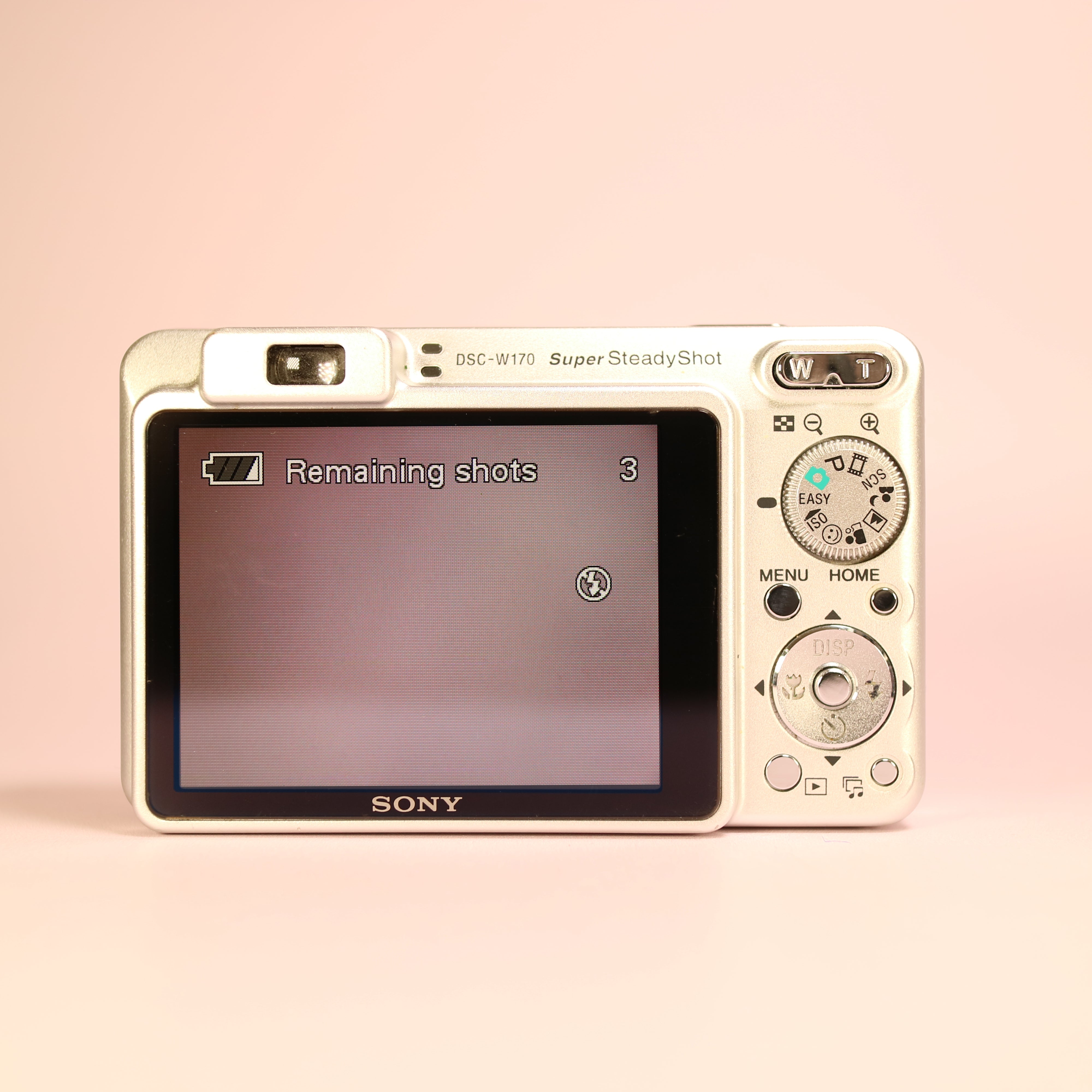 Sony Cyber-shot DSC-W170 10.1MP CCD Compact Digital Camera