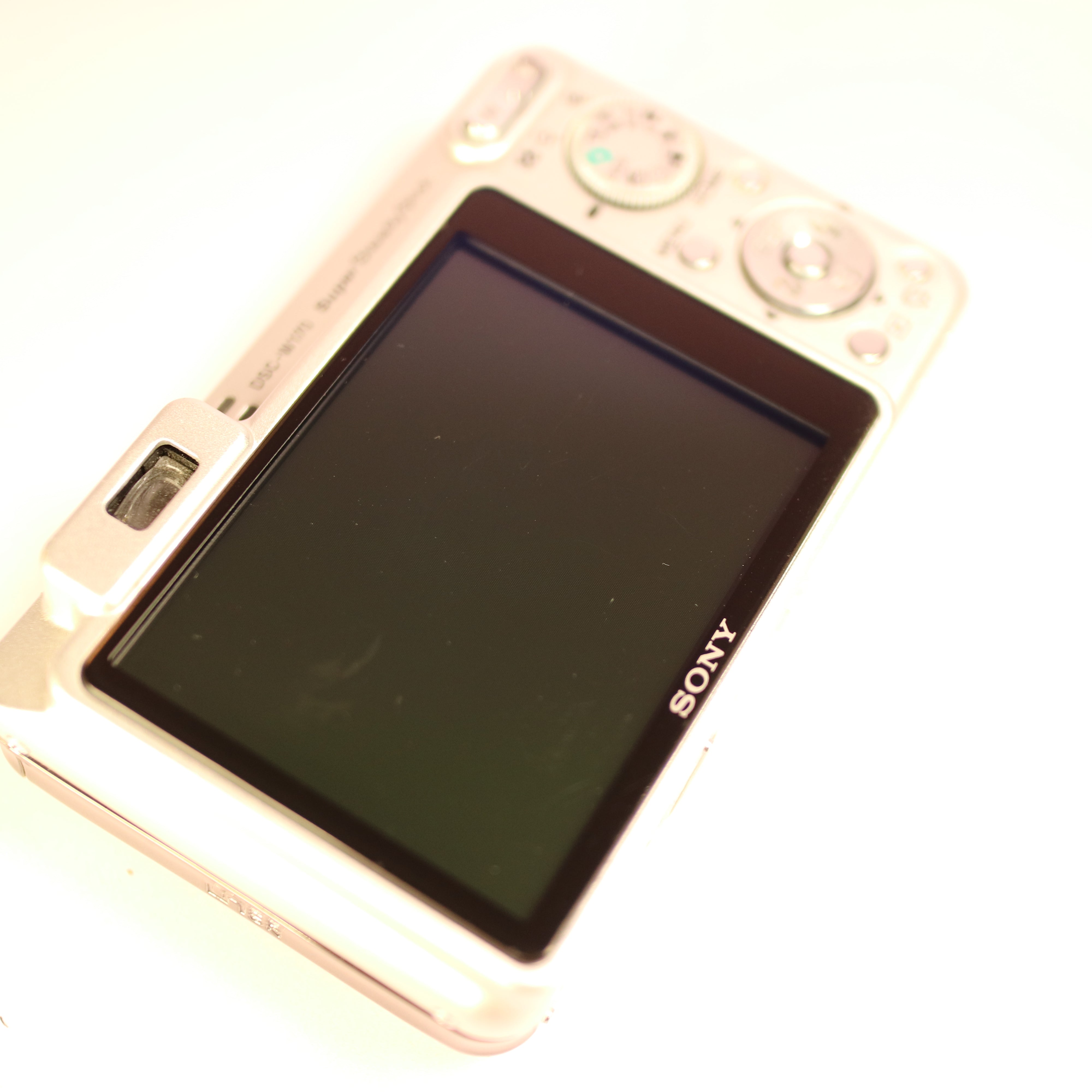 Sony Cyber-shot DSC-W170 10.1MP CCD Compact Digital Camera