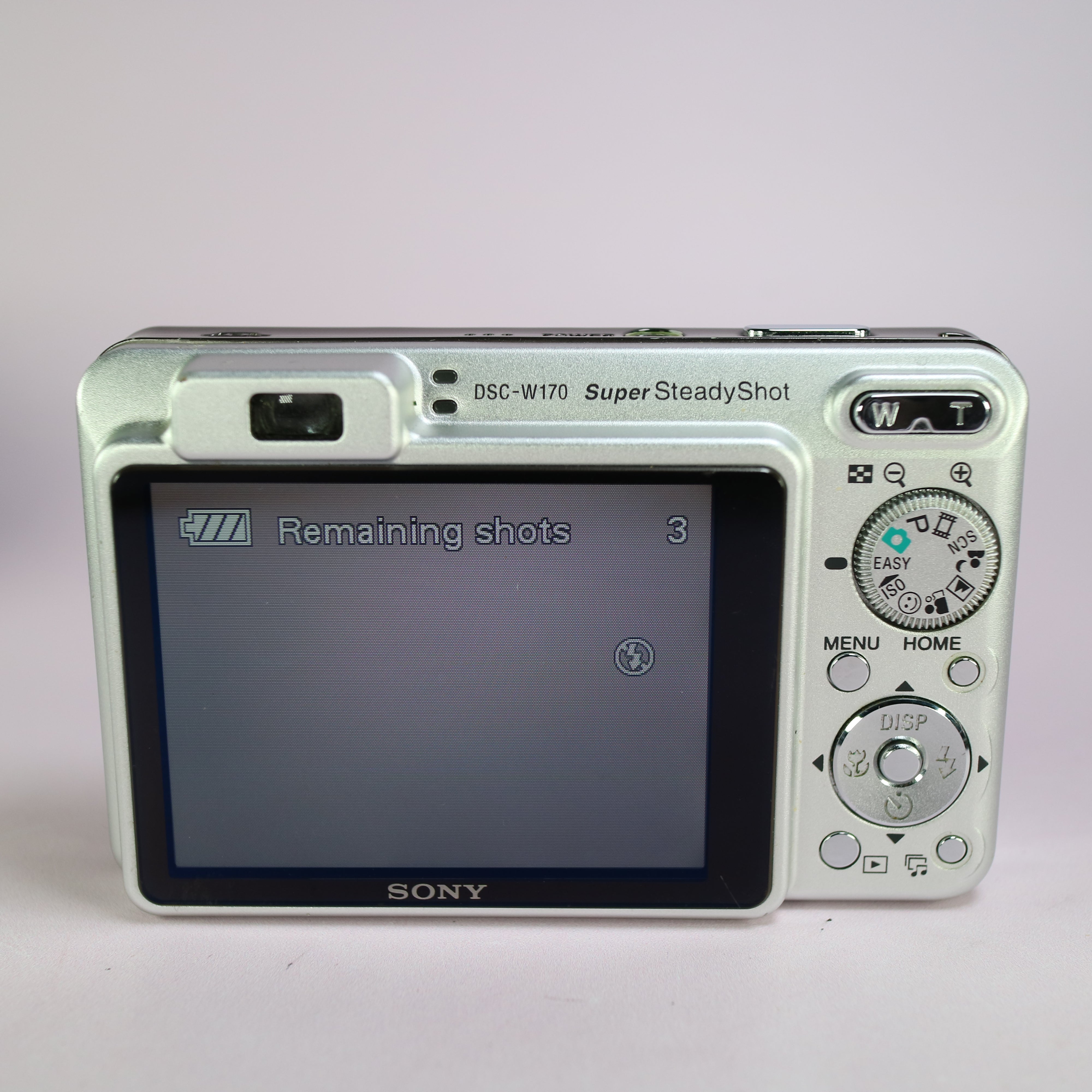 Sony Cyber-shot DSC-W170 10.1MP CCD Compact Digital Camera