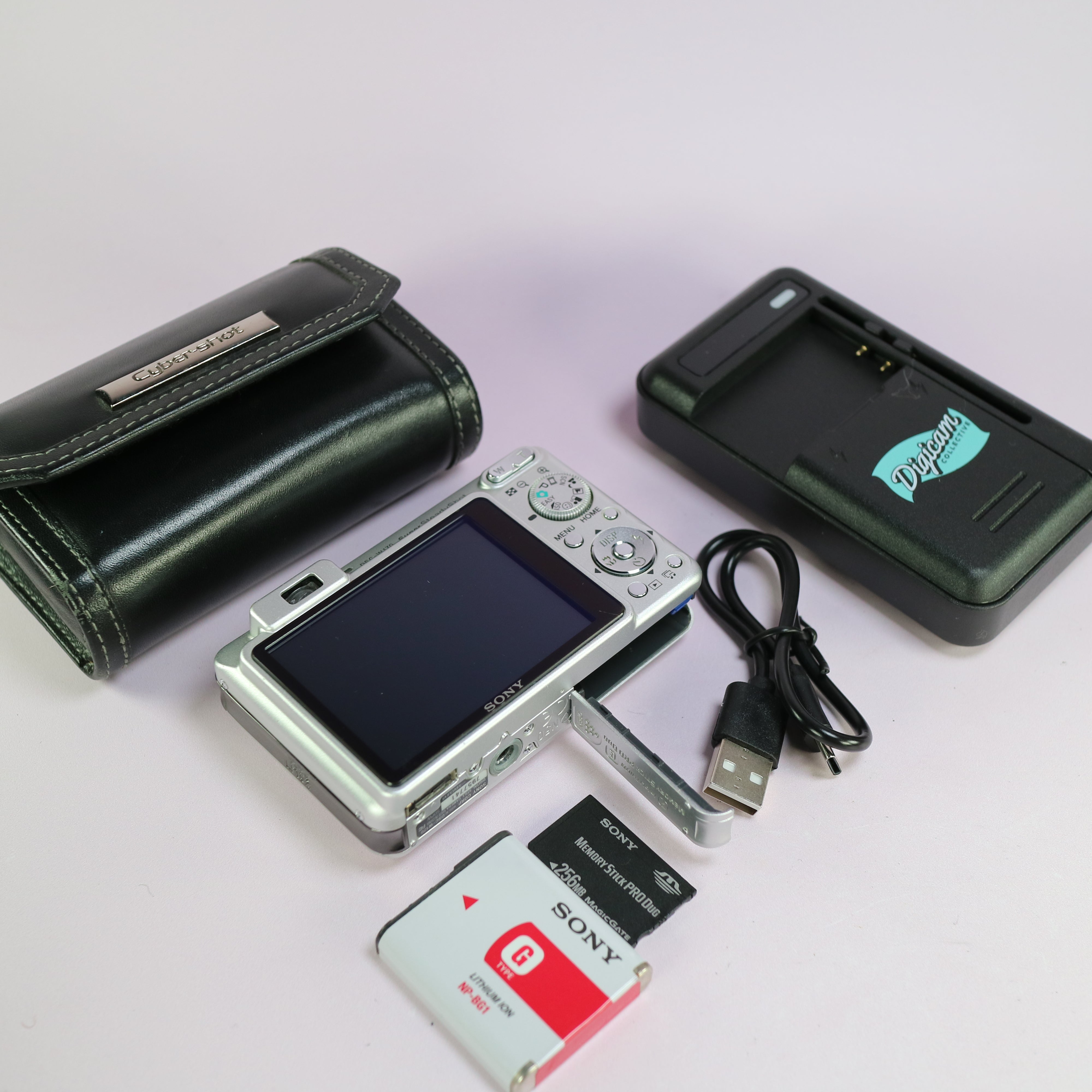 Sony Cyber-shot DSC-W170 10.1MP CCD Compact Digital Camera